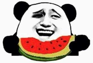 娱乐瓜姨吃瓜群众,揭秘吃瓜群众的狂欢盛宴 娱乐瓜姨吃瓜群众,揭秘吃瓜群众的狂欢盛宴